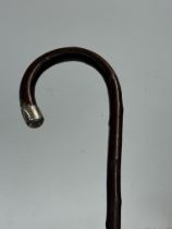 Silver topped walking stick