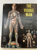 The visible man from skin to skeleton