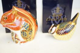 Royal crown derby red squirrel & Royal crown derby