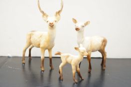 Beswick deer family stag, doe & fawn
