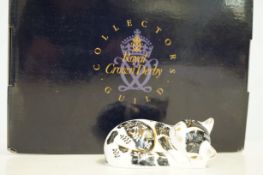 Royal crown derby collectors guild Misty with box