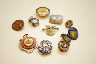 Collection of badges