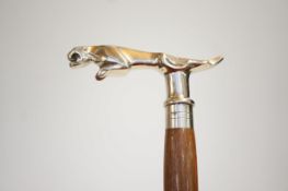 Jaguar walking stick