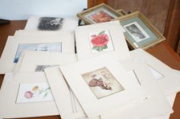 Large collection of pictures & prints - some frame