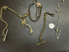Collection of albert chains