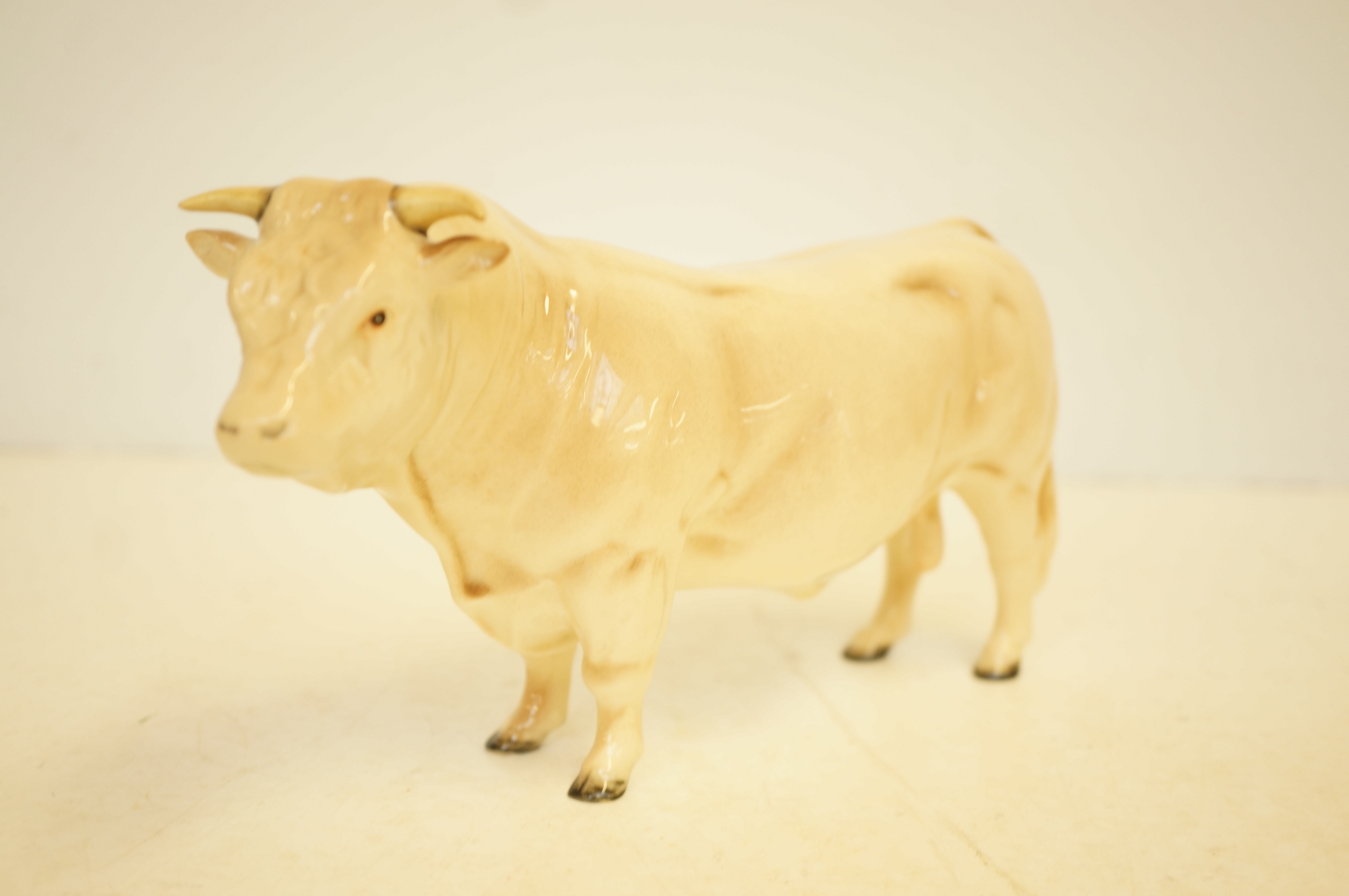 Beswick Charolais bull model 2463