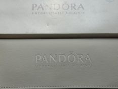 Pandora jewellery case