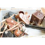 Collection of vintage cameras