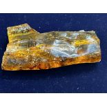 Piece of natural amber with many insects & other d