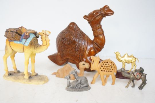 Collection of assorted camels