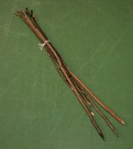 Bundle of sticks