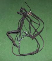 Full size horse bridle and martingale