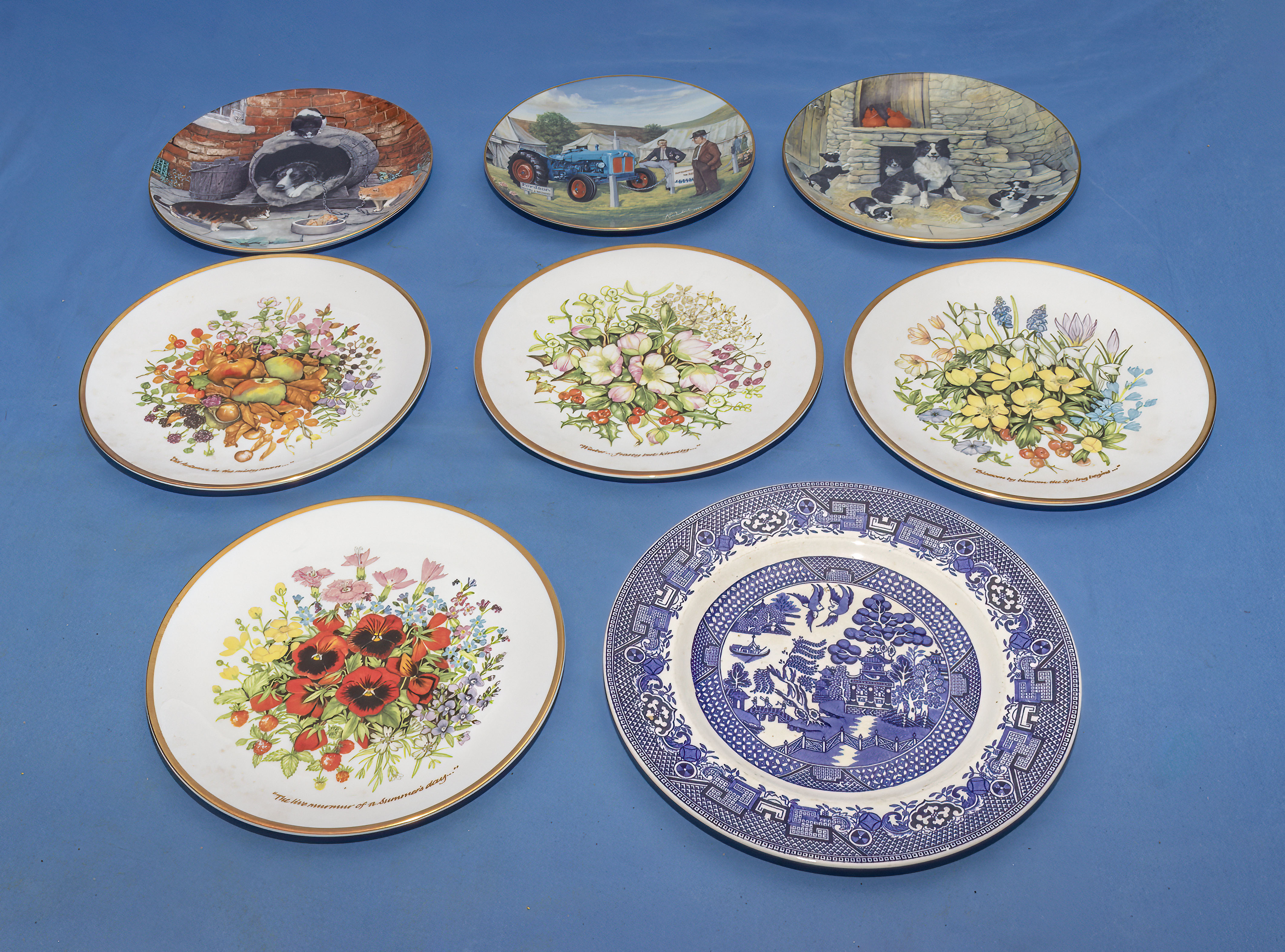 Eight decorative plates