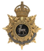 Royal Warwickshire Regiment Officer's helmet plate badge circa 1901-14. Fine gilt crowned star