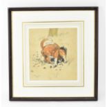 Cecil Aldin (1870 -1935) British depicting two dogs digging a burrow, ink and watercolour on