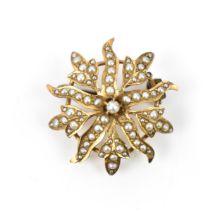 A Victorian yellow metal and seed pearl flower brooch, with central seed pearl and foliate