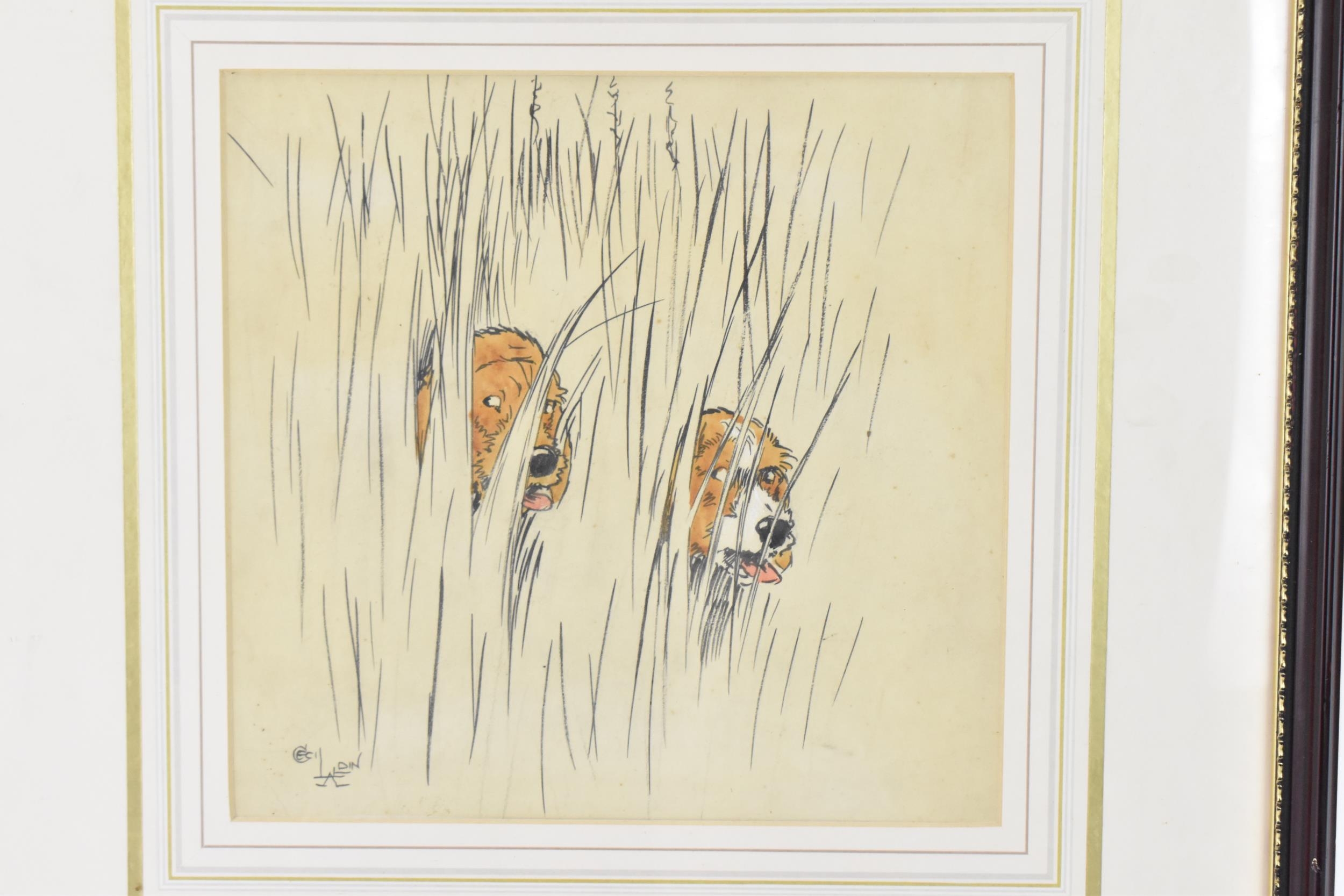 Cecil Aldin (1870 -1935) British 'A Cornish ???' depicting two dog heads amongst tall grass, ink and - Image 2 of 5