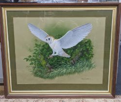 Andy Graystene - A gouache depicting an owl, signed to the lower right corner, 64m x 49cm, framed