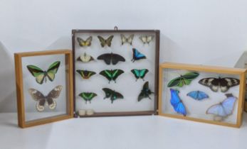 Three framed and glazed taxidermy butterflies to include 22 butterflies Location: