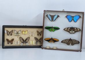 Two framed and glazed taxidermy butterflies to include 16 butterflies Location: