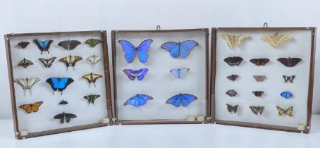 Three framed and glazed taxidermy butterflies to include 36 butterflies Location: