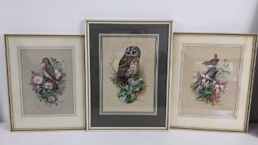 Margaret Sherborne - three watercolours of birds to include one depicting a tawny owl Location: