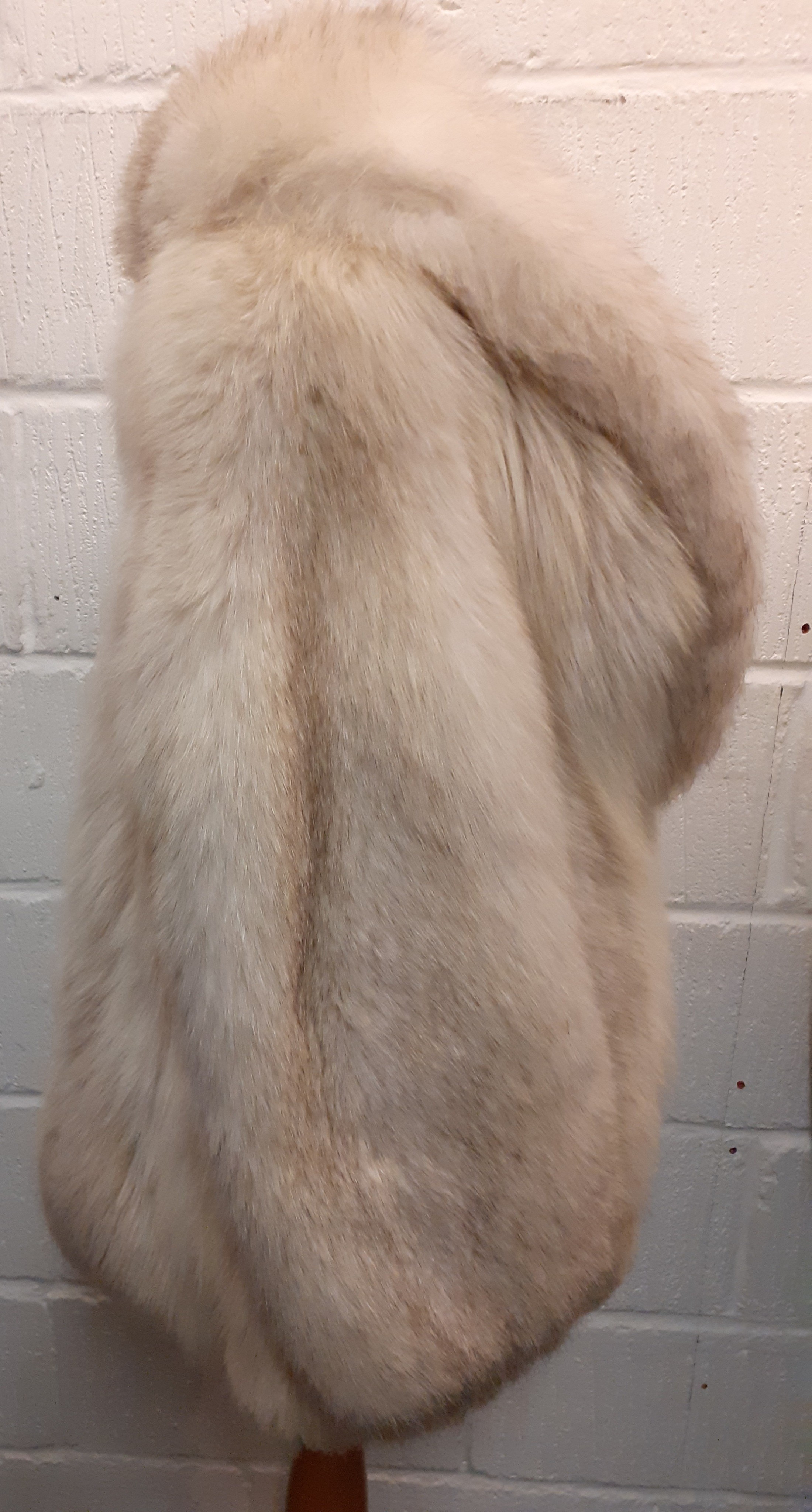 A late 20th Century arctic fox jacket having a shawl collar and a brown satin lining, approx 38" - Image 2 of 4