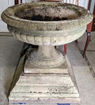 A large reconstituted stoneware planter fashioned as an urn raised on a stepped square base 92cm h x