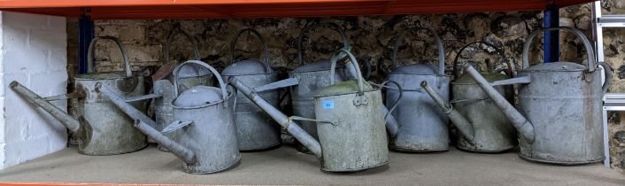 A group of garden metal watering cans, two with spout roses, Location: