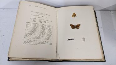 Book - History of British Butterflies by Rev. F.O. Morris, B.A, eighth edition with hand coloured