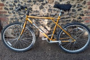 A Palomar gold coloured GT mountain bike. Location: G