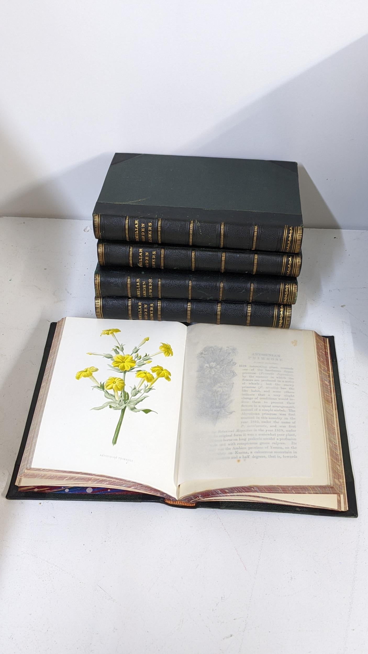 Books - five volumes of Familiar Garden Flowers with coloured plates Location: - Image 2 of 6