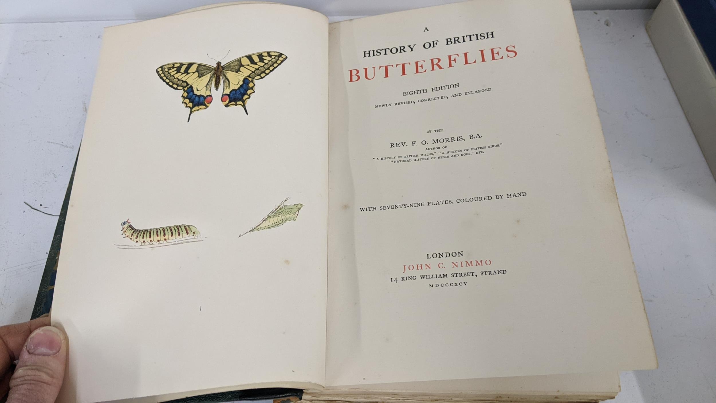 Book - History of British Butterflies by Rev. F.O. Morris, B.A, eighth edition with hand coloured - Image 6 of 6