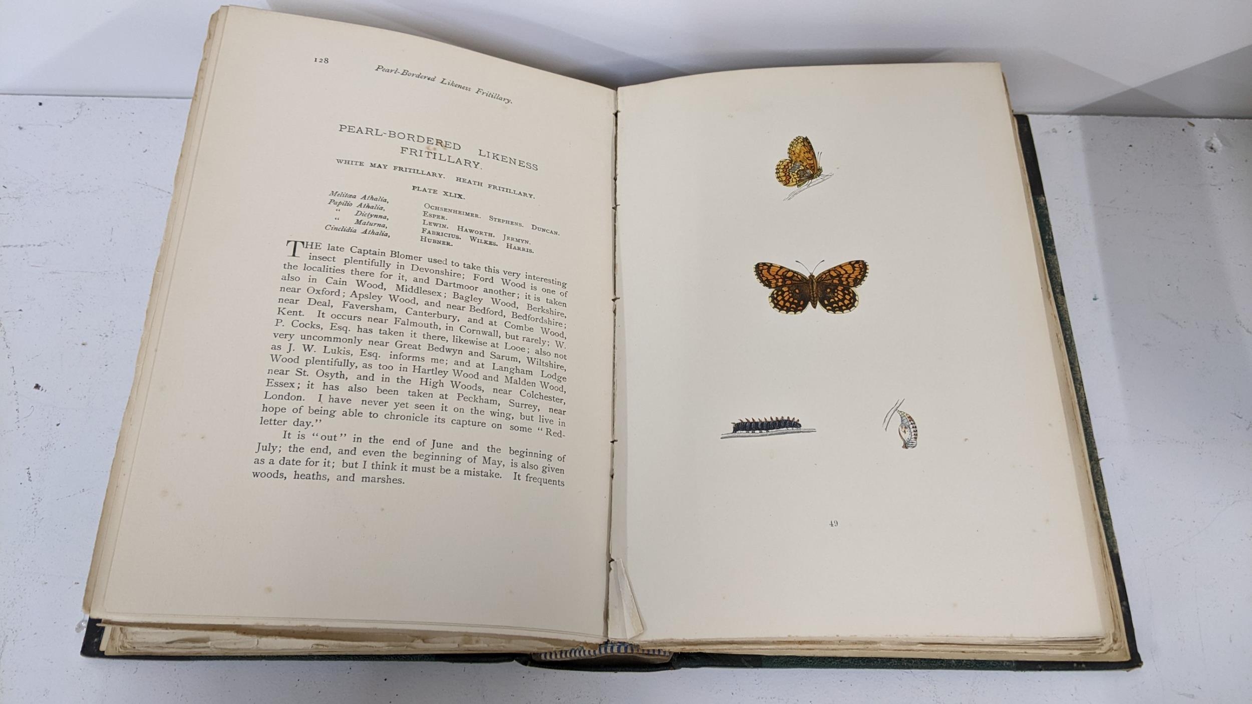 Book - History of British Butterflies by Rev. F.O. Morris, B.A, eighth edition with hand coloured - Image 2 of 6