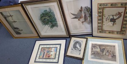 Mixed pictures to include two Russell Flint prints, coloured engravings of birds, and others