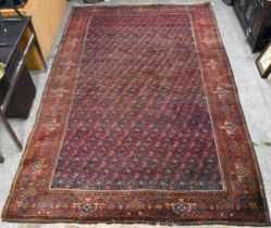 A Persian Herati design hand woven rug having a red ground evenly dispersed with flowerheads, within