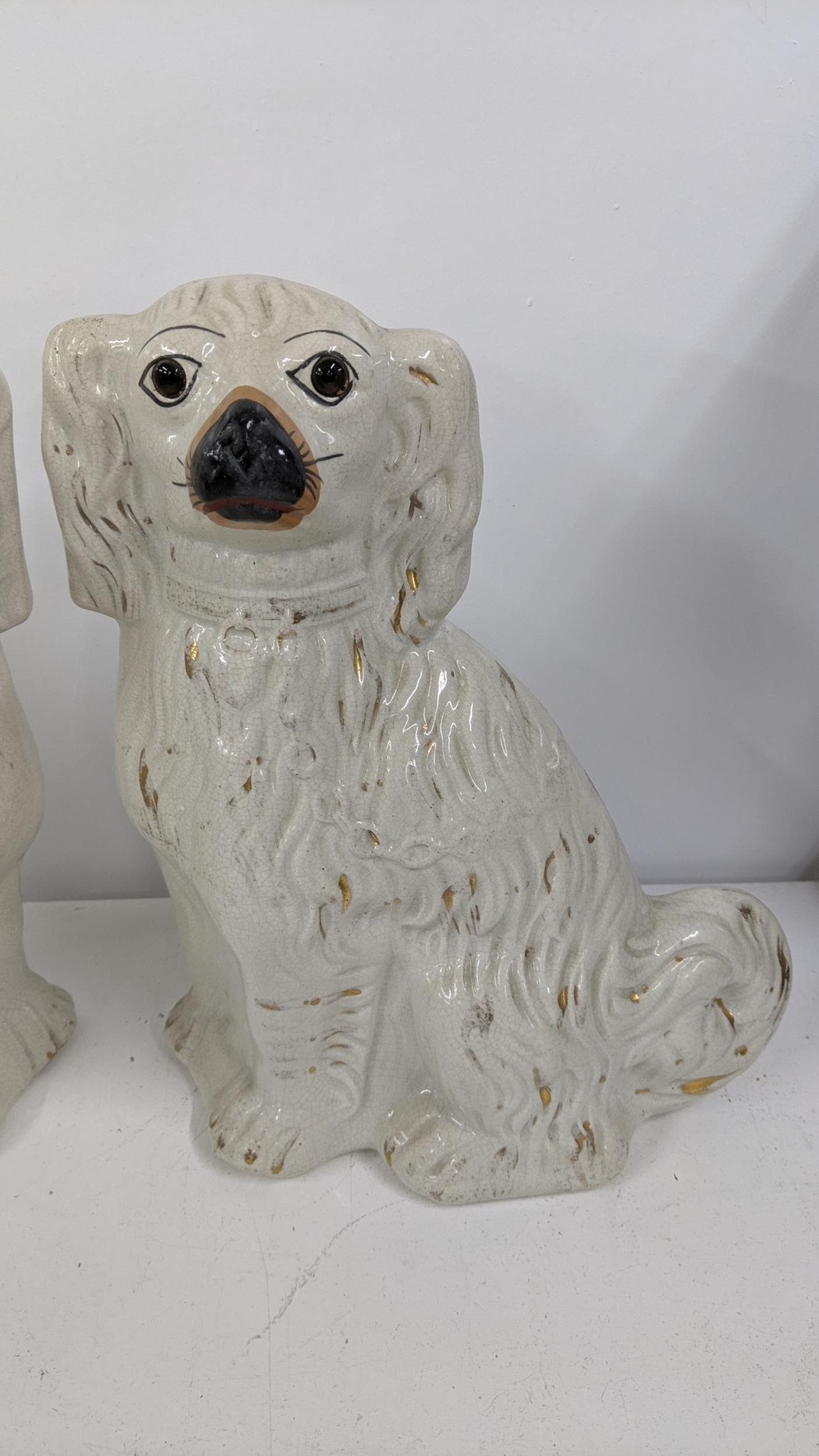 A pair of 19th century Staffordshire spaniels, 30cm h, Location: - Image 4 of 8