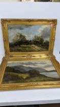 An oil on canvas, signed N Bell to the lower right corner, in a gilt frame, 39.5cm h x 60cm w and