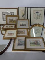 Mixed pictures to include botanical coloured engravings, a map and others, together with two mirrors