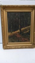 J T Barrett - A Woodland path oil on canvas, signed 30cm x 23.5cm, framed Location:BWR