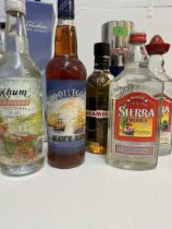 10 mixed bottles of spirit to include Navy Rum, Tequila, Gin, Vodka, Pernod Lovation: