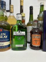 12 mixed bottles of spirit to include Dun Leire Irish Whiskey, Gordons Gin, Glen Moray Scotch Whisky