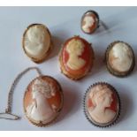 Four cameo style brooches to include one in a rolled gold mount, a cameo style clip and a cameo