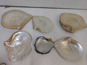 Five mother of pearl shells to include two part carved examples Location: