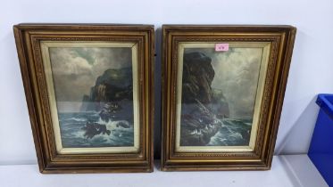 F.A.R - a pair of coastal scenes with birds on rocky cliffs, oil initial 34cm x 24cm framed and