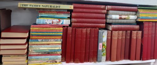 A quantity of 20th Century books to include Retro Ladybird children's books, antiquarian novels to