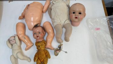 The component parts of dolls with composition heads and a smaller porcelain headed example