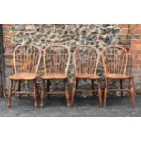 A set of four 19th century elm and ash Windsor dining chairs, having spindle hoop shaped backs,