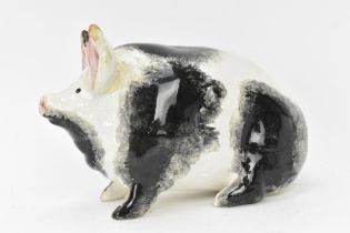 A circa 1900, Wemyss pottery model of a pig, painted with sponge markings and pink ears, seated on