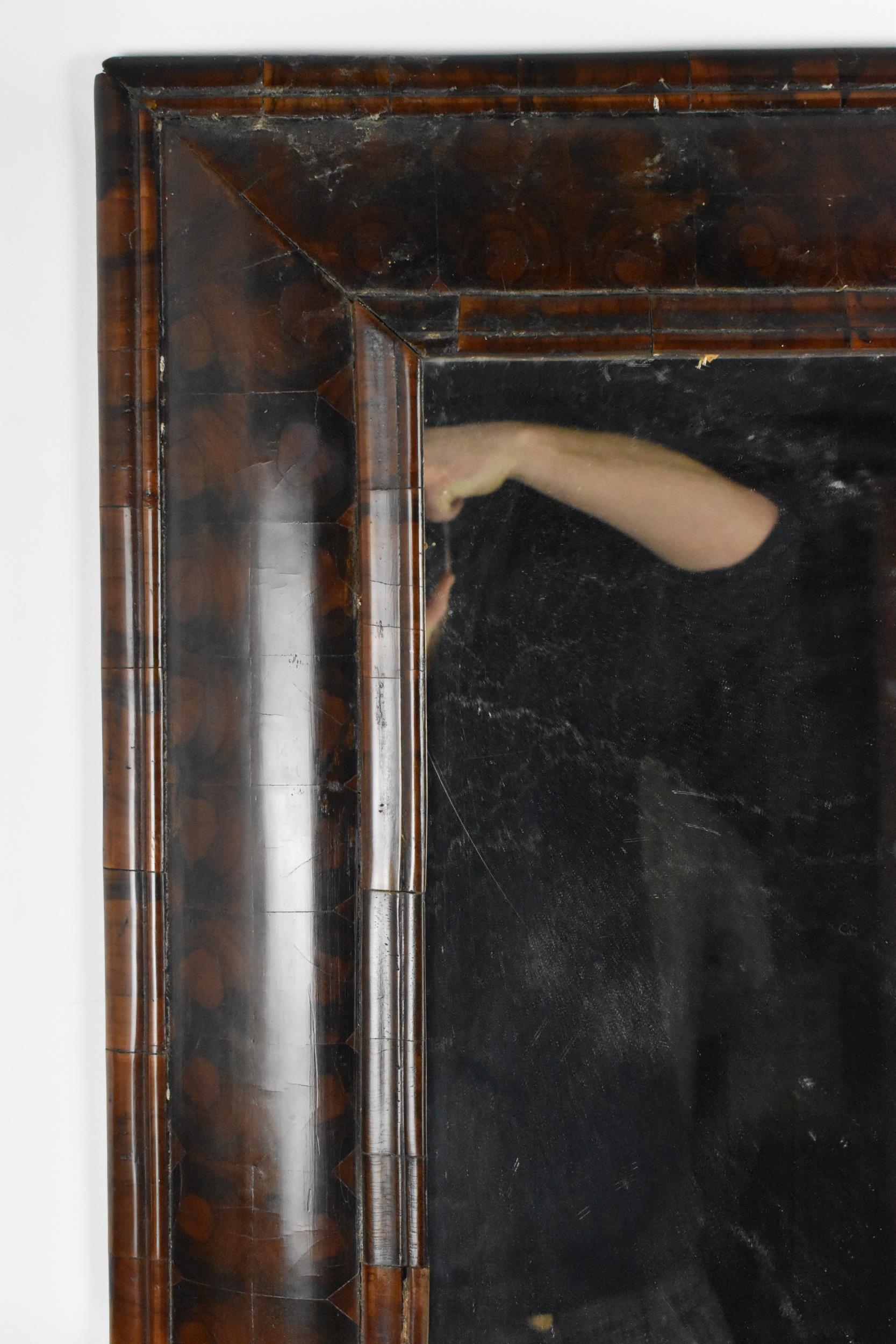 A William and Mary walnut oyster veneered mirror, circa 1690, having a cushion moulded frame, the - Image 5 of 6